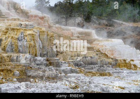 Mammut Federn Geothermie in Yellowstone National Park, Wyoming, USA im Oktober (Herbst) 2018 Stockfoto