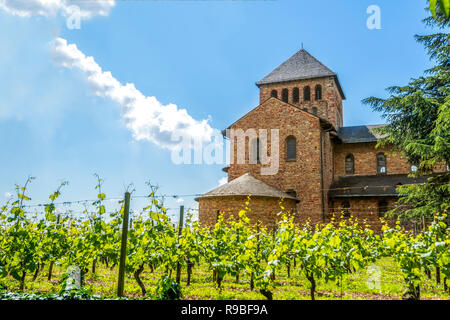 Schloss Johannisberg und Weinbergen, Rüdesheim, Deutschland Stockfoto