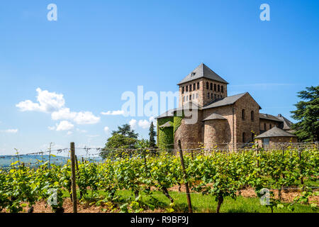 Schloss Johannisberg und Weinbergen, Rüdesheim, Deutschland Stockfoto