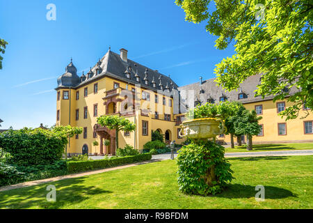 Schloss Johannisberg und Weinbergen, Rüdesheim, Deutschland Stockfoto