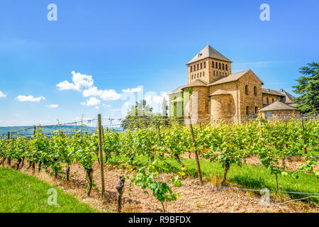 Schloss Johannisberg und Weinbergen, Rüdesheim, Deutschland Stockfoto