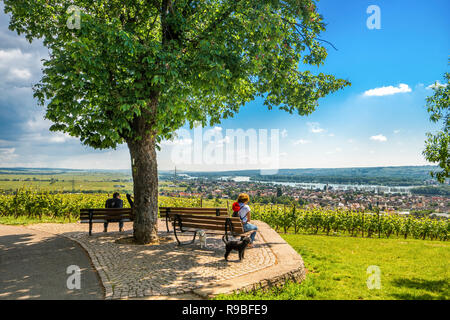 Schloss Johannisberg und Weinbergen, Rüdesheim, Deutschland Stockfoto