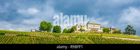 Schloss Johannisberg und Weinbergen, Rüdesheim, Deutschland Stockfoto