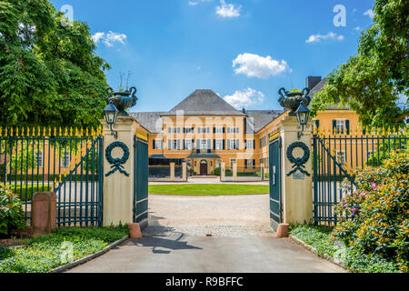 Schloss Johannisberg und Weinbergen, Rüdesheim, Deutschland Stockfoto