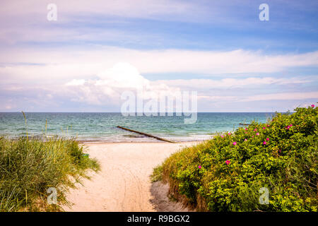 Ahrenshoop, Ostsee, Deutschland Stockfoto