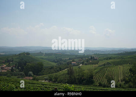 Weinberge in der Nähe des Dorfes La Morra, Piemont - Italien Stockfoto