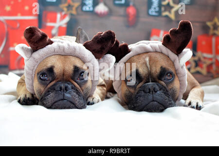 Zwei süße fawn Französische Bulldogge Hunde verkleidet als Rentiere auf Boden vor Weihnachten Hintergrund liegend Stockfoto