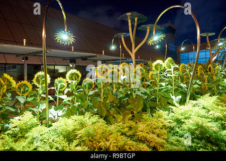 Singapur - ca. August 2016: Sonnenblume Garten am Flughafen Singapur Changi. Singapur Changi Airport ist der primäre zivilen Airport für Singapur, Stockfoto