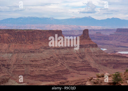 Panoramablick in Canyon Lands National Park im Sommer an einem sonnigen Tag Stockfoto