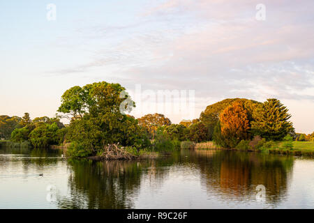 Bäume und Teich im Morgenlicht Stockfoto