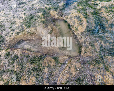 Die berühmten Fußabdrücke von Dinosauriern zu einem corran Strand von staffin auf die Isle of Skye - Schottland Stockfoto