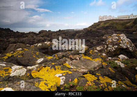 Cliff Walk in Port Stewart, Nordirland mit dem Dominican College sichtbar auf der Klippe und Flechten und Seegras bedeckte Felsen im Vordergrund. Stockfoto