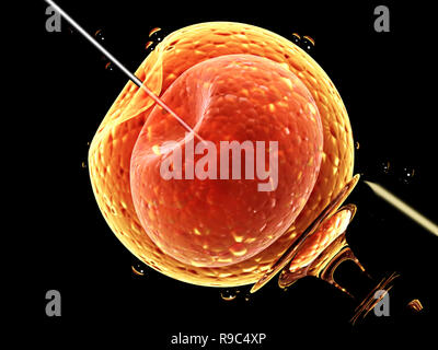 Cell Injektion - künstliche Befruchtung. Nadel anstechen der Zellmembran. Spermatozoon in Ei. Auf schwarzem Hintergrund isoliert. 3D-Rendering Stockfoto