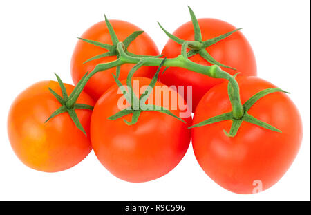 Tomate. Tomate Zweig. Tomaten isoliert auf Weiss. Mit Freistellungspfaden. Stockfoto