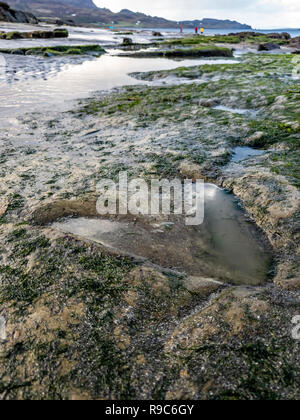 Die berühmten Fußabdrücke von Dinosauriern zu einem corran Strand von staffin auf die Isle of Skye - Schottland Stockfoto
