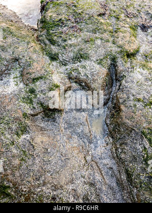 Die berühmten Fußabdrücke von Dinosauriern zu einem corran Strand von staffin auf die Isle of Skye - Schottland Stockfoto