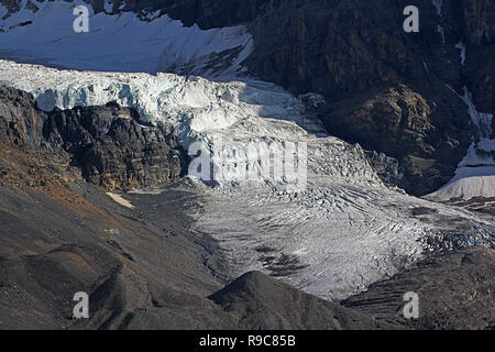 Die Athabasca Glacier ist einer der sechs wichtigsten "Zehen" der Columbia Icefield, das sich in den kanadischen Rockies in Alberta, Kanada. Stockfoto