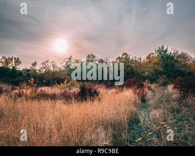 Bewölkt Herbst Landschaft mit Bäumen im Park. Bewölkten Himmel. Feld mit trockenem Gras unter einem dramatischen Himmel kurz vor einem Sonnenuntergang. Stockfoto