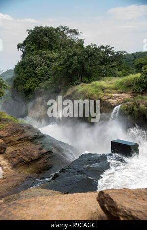 Top der Murchison Falls (Kabalega Falls) in Uganda, Afrika Stockfoto