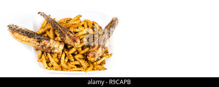 Close-up Genießbare gebratene Würmer molitors Insekten essen geeignet als Snack für zwischendurch. Die asiatische Kultur und Eiweiß Nahrung der Zukunft. Gesundes Leben Konzept Stockfoto