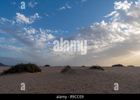 Morgen wird der Strand von Corralejo auf Fuerteventura, Kanarische Inseln, Spanien Stockfoto