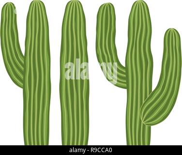 Bunte cartoon mexican Cactus Set Stock Vektor