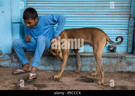 Street Dogs von Chandni Chowk Stockfoto