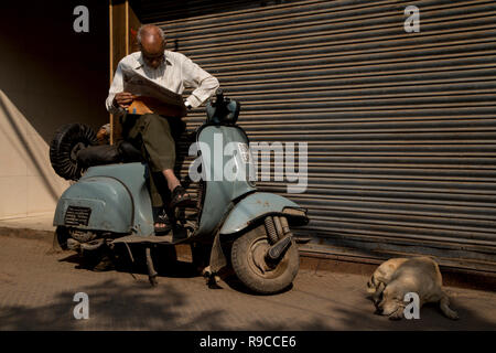 Street Dogs von Chandni Chowk Stockfoto