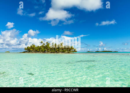 Blaue Lagune von Rangiroa Atoll, Tuamotu Islands, Französisch-Polynesien. Stockfoto