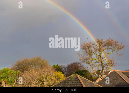 Eine bunte doppelten Regenbogen hinter einem großen Baum in den dunklen Himmel und Wolken, im Winter in Großbritannien. Mit Copyspace. Stockfoto