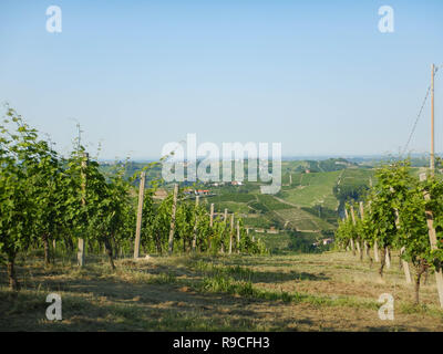 Blick auf den westlichen Langhe in Neive, Piemont - Italien Stockfoto