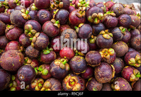 Obst Markt verkaufen Stapel von Lila Mangosteen, Garcinia mangostana. Stockfoto