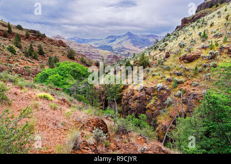 42,893.03507 Deep Creek cut Schlucht in steilen verwinkelten sagebrush Hügel, Graten und Täuschungen in der hohen Wüste mit weit entfernten trockenen Berge Landschaft, Oregon, USA Stockfoto