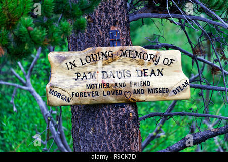 42,896.03667 Nahaufnahme von holzschild auf öffentlichen BLM Nadelbaumbaum zum Gedenken an den Tod einer Mutter, Pam Davis Dean, Oregon, Pacific Northwest, USA Stockfoto