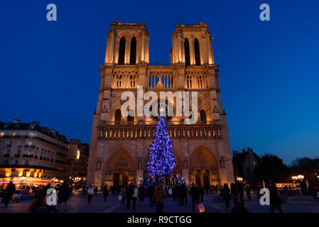 Weihnachtsbaum vor der Notre Dame, Paris, Frankreich Stockfoto