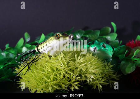 Frösche aus Kunststoff mit scharfen Haken sind auch künstliche Köder auf Raubfische geeignet Stockfoto