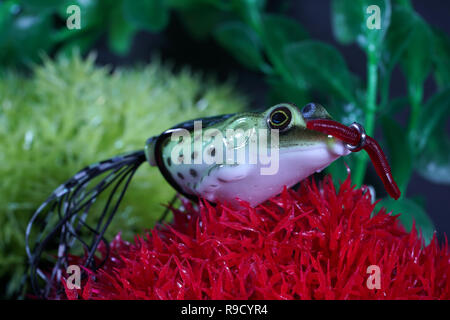 Frösche aus Kunststoff mit scharfen Haken sind auch künstliche Köder auf Raubfische geeignet Stockfoto