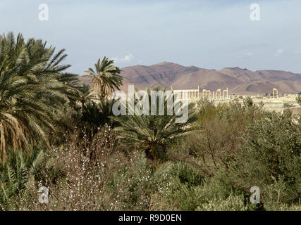 Syrien. Die Oase von Palmyra. Palm Grove und die Ruinen der römischen Stadt. Foto vor dem syrischen Bürgerkrieg. Stockfoto