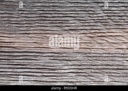 Holz Eiche Textur bog Petrified. Mooreiche Hintergrund. Stockfoto