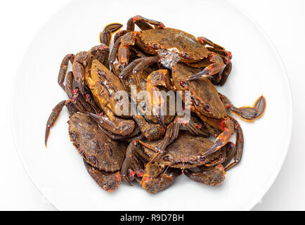 Galizische Necoras (aus Galizien). Köstliche Meeresfrüchte aus dem Golf von Biskaya und Atlantik. Frisch und lebendig Krabben auf weißem Hintergrund. Stockfoto