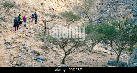 Ras Al Khaimah, VAE, 13. Januar 2017: Eine Gruppe Wanderer auf einem Trail im Hajar-gebirge in Ras Al Khaimah, VAE Stockfoto