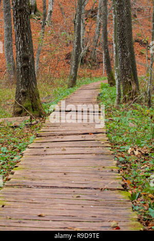 Einsamen Wegs in Wald im Herbst, Plitvice, Kroatien Stockfoto