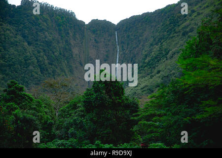 Hiilawe Wasserfall im Waipio Tal auf der grossen Insel von Hawaii Stockfoto