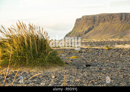 Am Strand von Breidavik, Sonnenuntergang, Westfjorde Islands Stockfoto