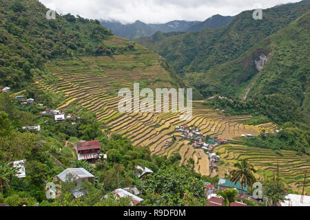 Batad Reisterrassen, Ifugao Provinz Cordillera Region, Luzon, Philippinen, Asien, Südostasien, UNESCO Weltkulturerbe Stockfoto