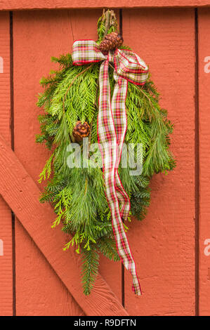 Den traditionellen natürlichen Evergreen Weihnachten swag mit Tartan ribbon auf lackierten orange Holz Zaun hingen. Stockfoto