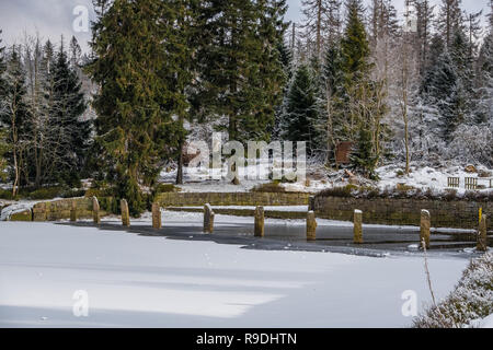Nationalpark Harz im Winter Oderteich Stockfoto