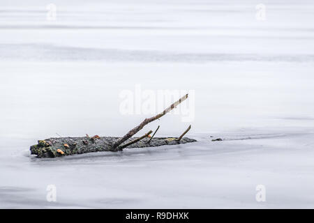 Nationalpark Harz im Winter Oderteich Stockfoto