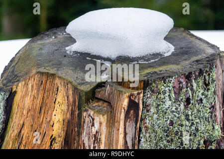 Nationalpark Harz im Winter Oderteich Stockfoto