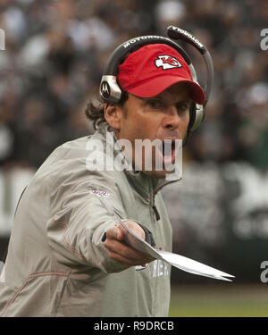 Oakland, Kalifornien, USA. 7. Nov 2010. Leiter Trainer Todd Haley am Sonntag, 7. November 2010, im Oakland-Alameda County Coliseum in Oakland, Kalifornien. Die Räuber besiegt die Leiter 23-20. Credit: Al Golub/ZUMA Draht/Alamy leben Nachrichten Stockfoto